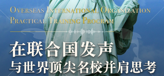联合国训练研究所模拟国际多边外交谈判：第五届青少年可持续发展能力建设实训团