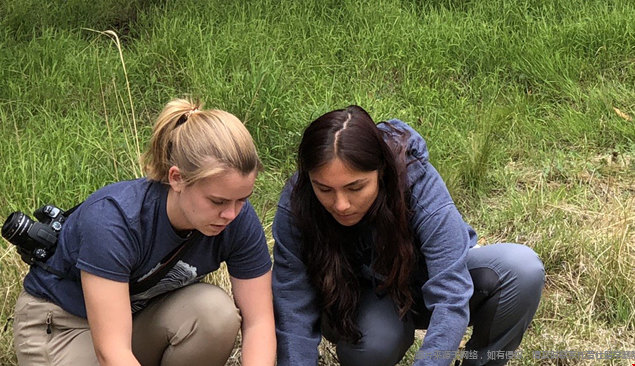 美国学制有哪几种类型 美国学制有哪几种类型
