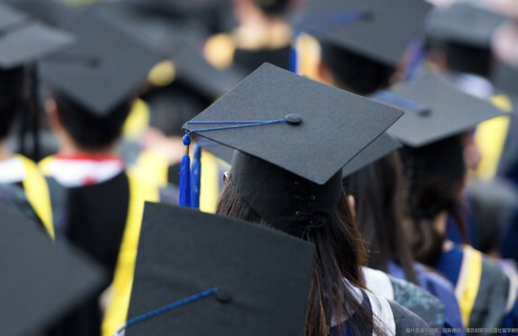 2025美国留学春季招生数据公布