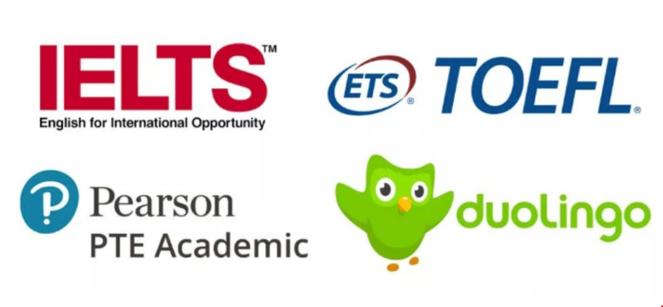 申请美国大学不同身份有何不同.png 语言要求.png