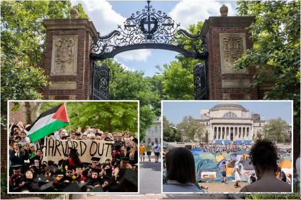 哈佛哥大向特朗普政府服软.png 哈佛&哥大.png