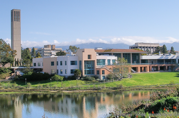 加州系大学