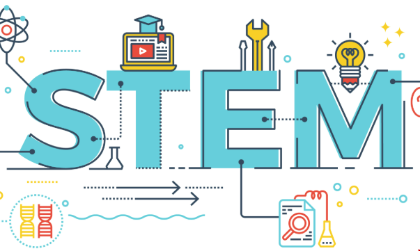 美国大学哪些STEM项目好申