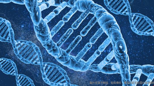 美国留学选哪些专业未来发展趋势比较好.png 生物工程.png