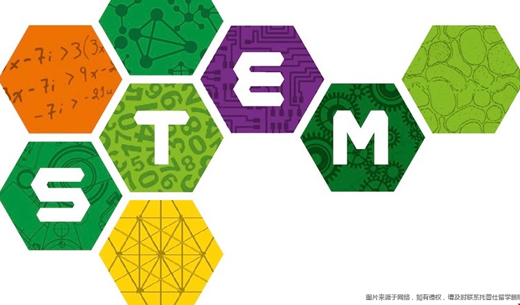 1754648453391216.png stem3.png