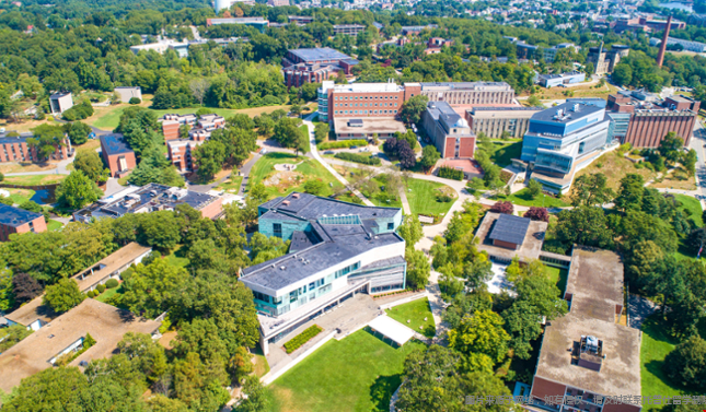 布兰迪斯大学美国排名多少