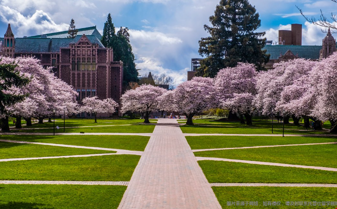 西雅图华盛顿大学生物统计学专业怎么样 西雅图华盛顿大学生物统计学专业怎么样