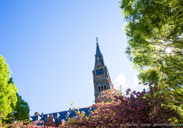乔治城大学中国留学生多吗 乔治城大学中国留学生多吗