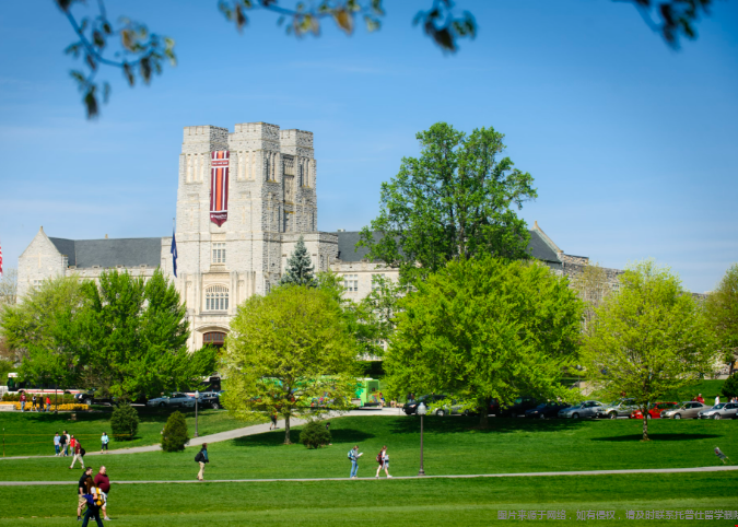 弗吉尼亚理工最厉害的专业