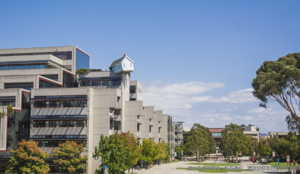 美本申请如何定专业方向