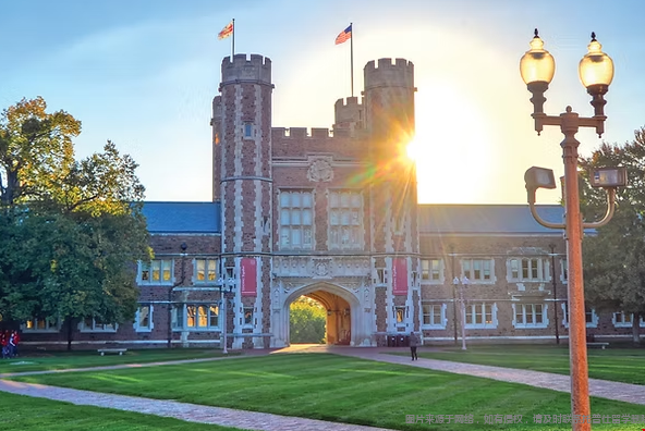 2029届WashU新生数据公布 2029届WashU新生数据公布