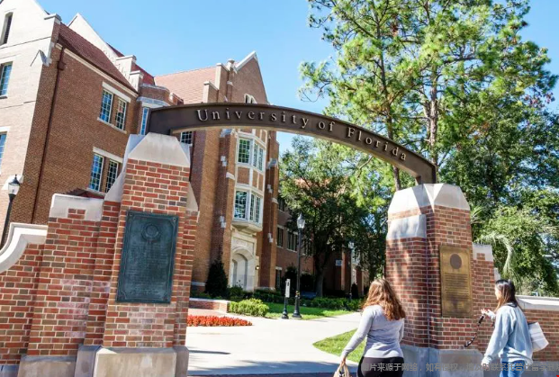 佛罗里达大学最好的专业 佛罗里达大学最好的专业