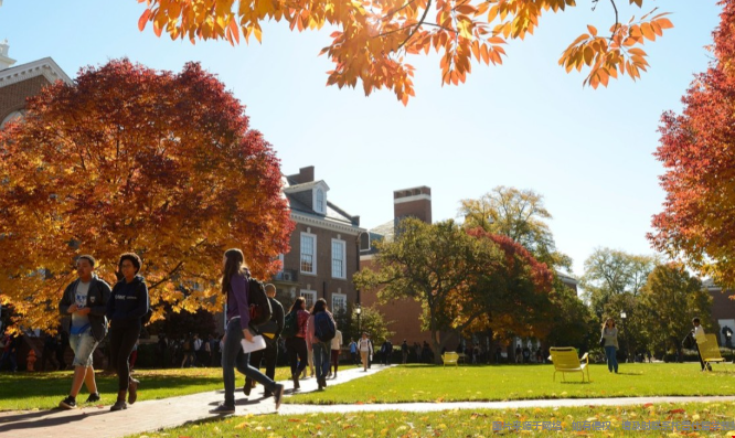 美国哪些一年制硕士含金量高