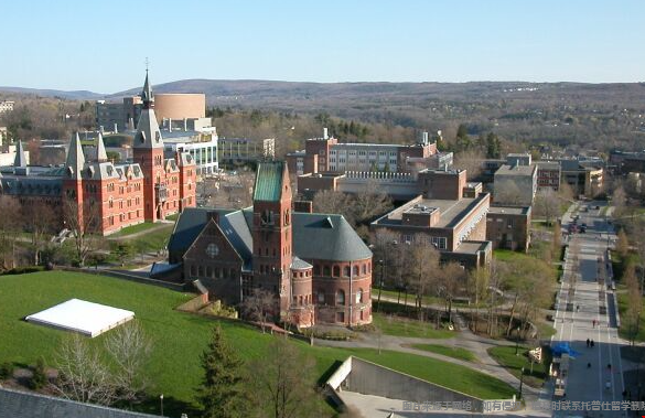 康奈尔大学是大藤还是小藤