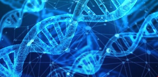 生物专业.png 生物.png