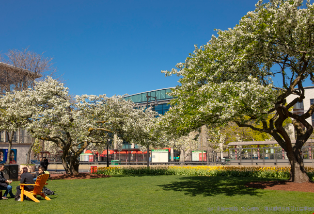 就业服务做得好的美国大学 就业服务做得好的美国大学