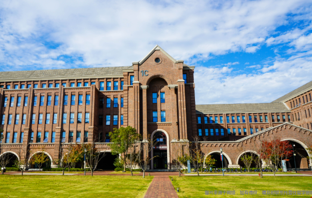 1763358219964458.png image.png