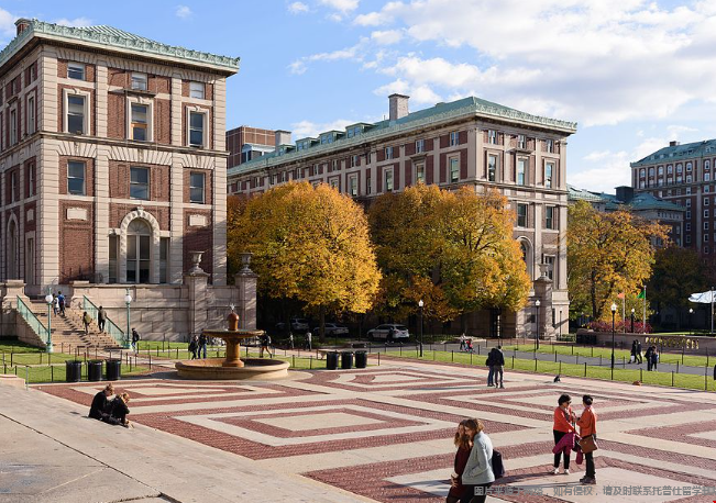 陆本申请纽约大学需要什么条件