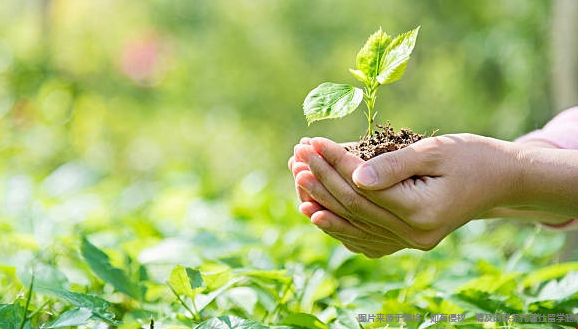 环境工程专业.png 环境工程.png