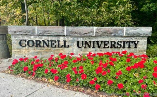 康奈尔大学4.png
