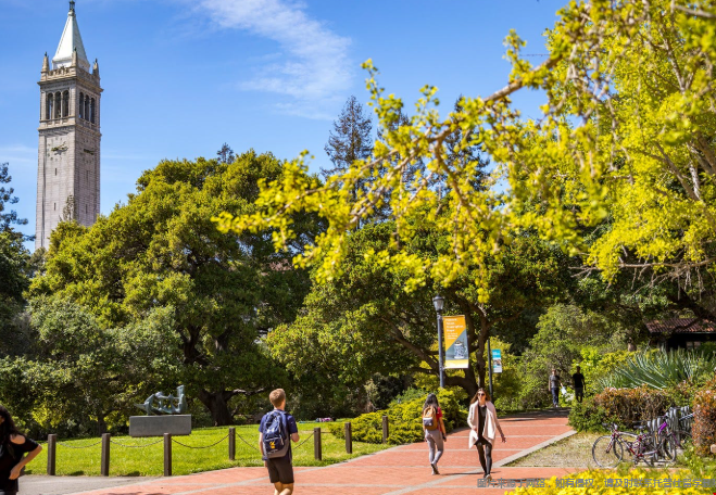 UC本科申请文书有多重要
