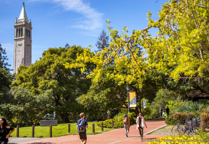 美本转学与直申有哪些区别
