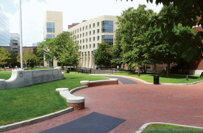 美国东北大学2026年排名 美国东北大学2026年排名