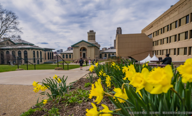 申请CMU研究生需要什么水平 申请CMU研究生需要什么水平
