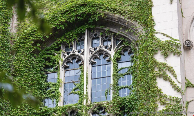 芝加哥大学应用数据科学硕士录取要求 芝加哥大学应用数据科学硕士录取要求