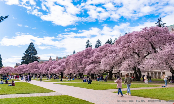 华盛顿大学西雅图分校本科申请难度