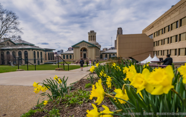 去美国读本科如何选择专业