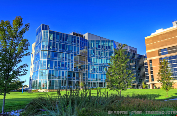 华大圣路易斯大学什么专业最好 华大圣路易斯大学什么专业最好