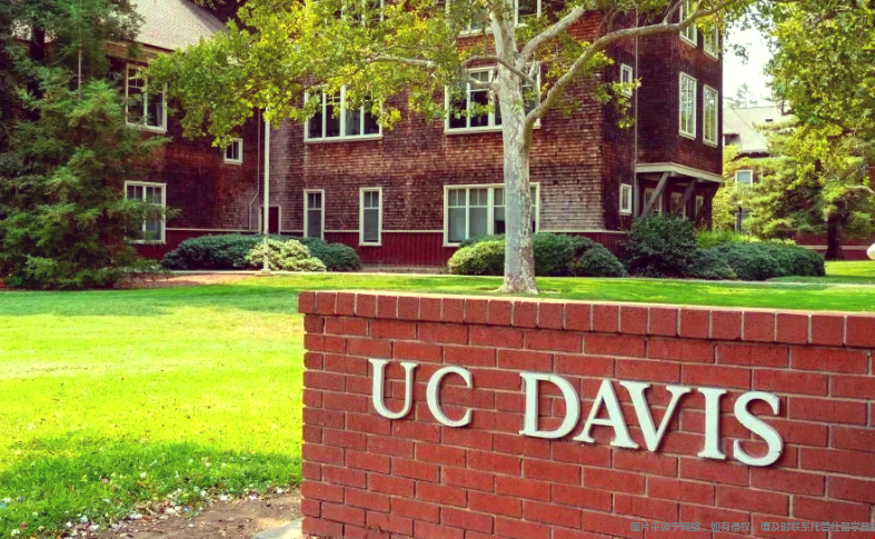 加州大学戴维斯分校