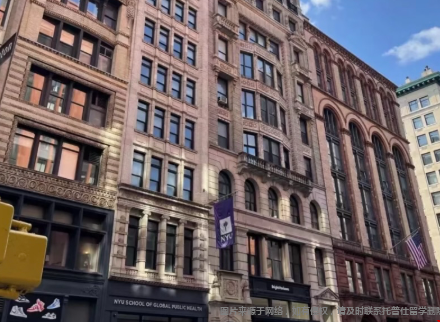 纽约大学.png
