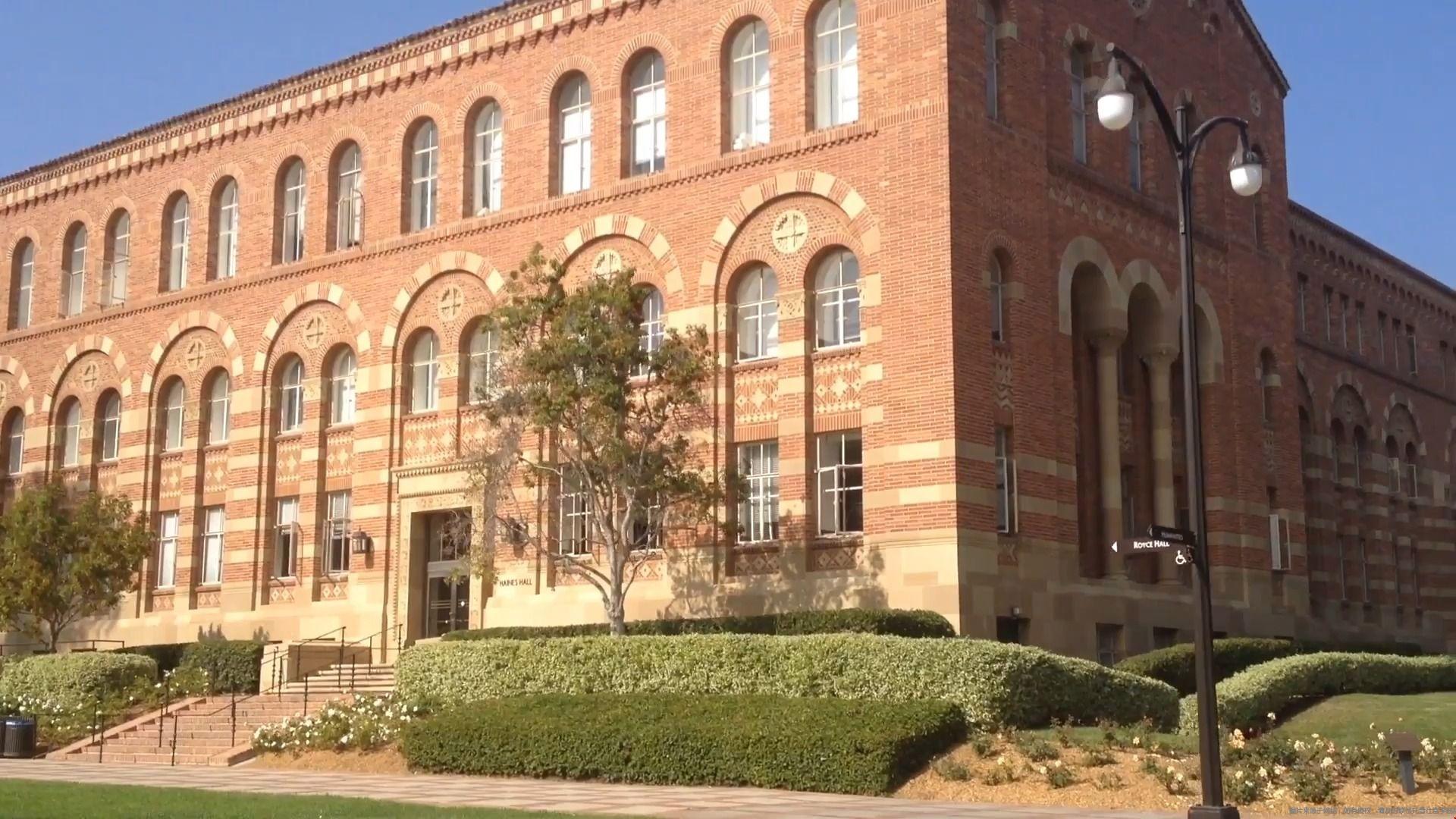 1774488046686651.jpg 8137fc5240eaa9ac1a3091eaa1a1ea5705d9e0e1.jpg