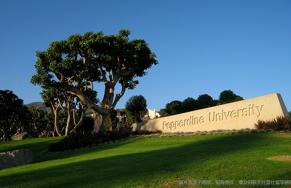 佩珀代因大学3.png